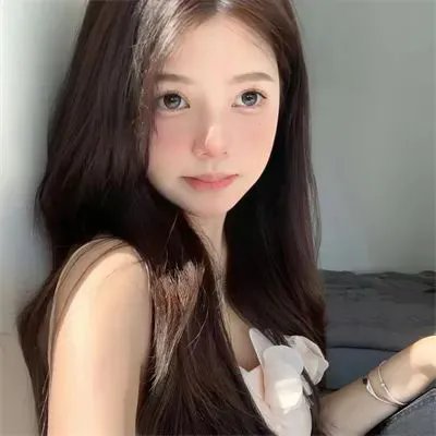 南极料理人