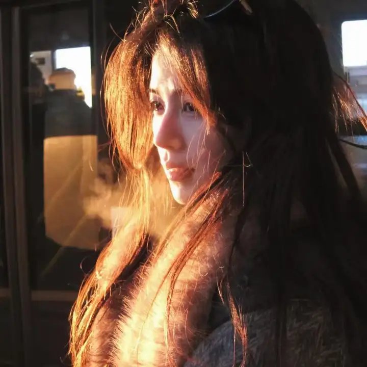 冰雪间谍