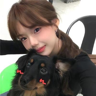 犬神家族2018