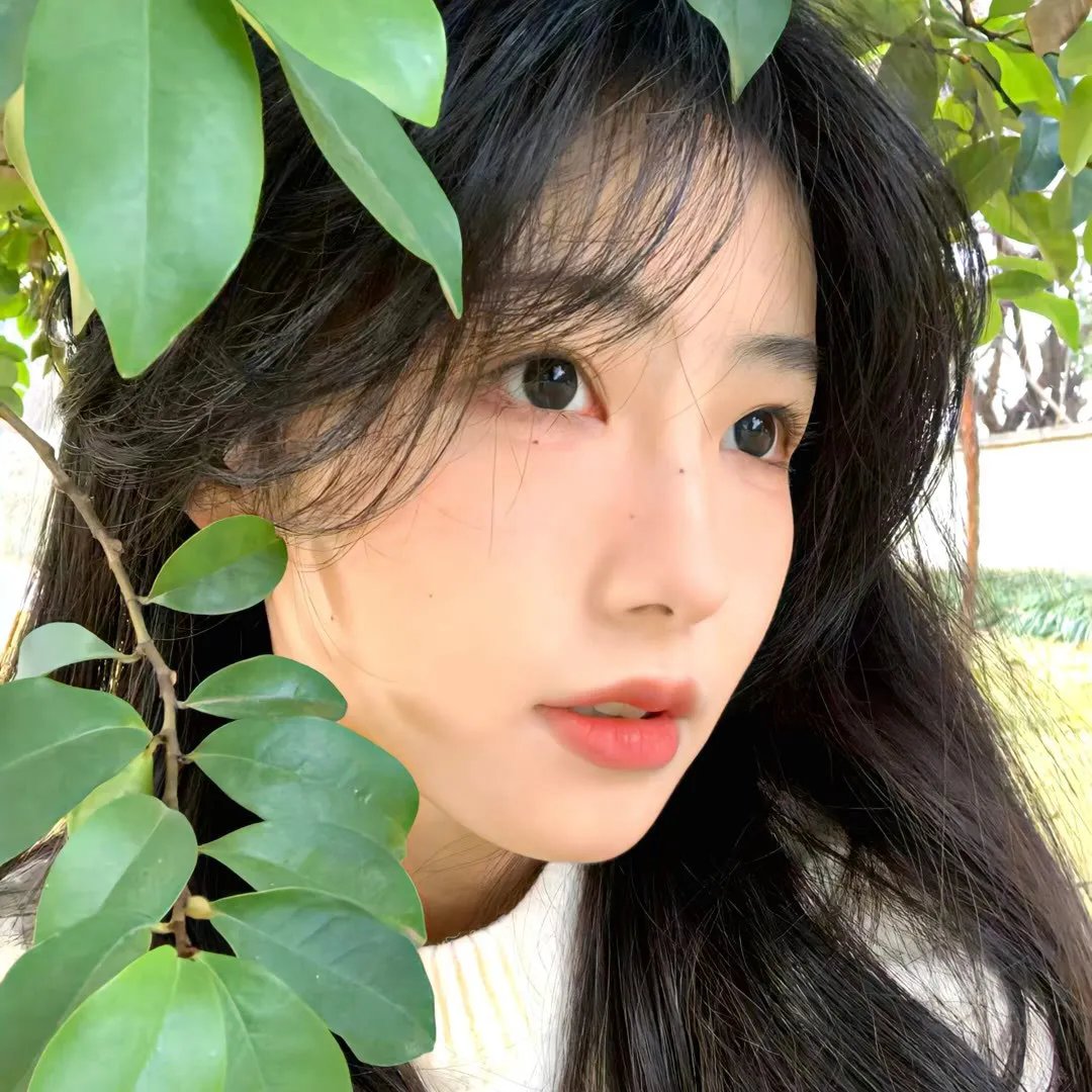 噗噗共鲜师